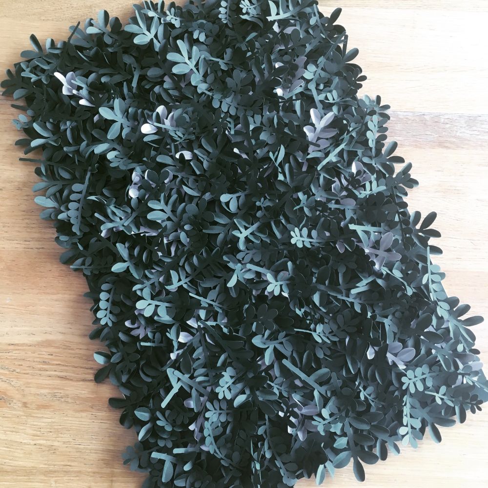 buxus-falidisz