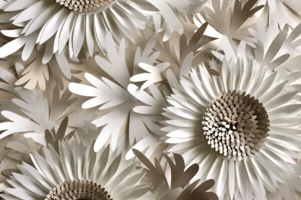 gerbera-falidisz