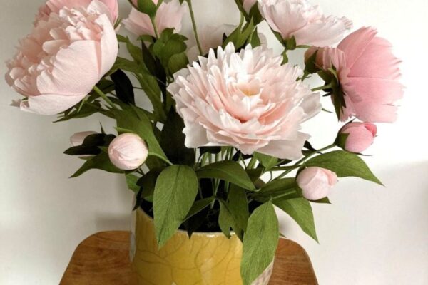 krepp-peonia