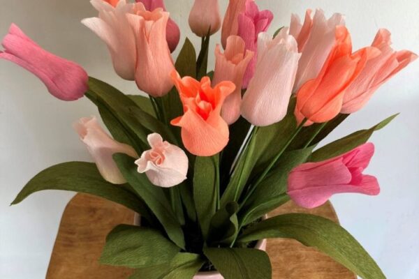 krepp-tulipan