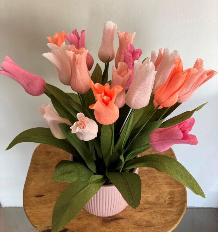 krepp-tulipan